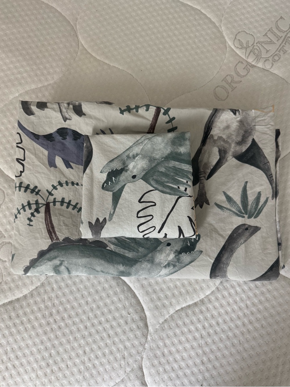 Pottery Barn Kids Organic Dinosaur Print Twin duvet and sham. Perfect condition!